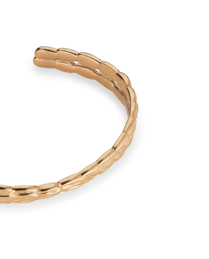 Astra bangle