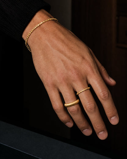 Anima ring